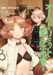 Exceeding Limits Can Only Be Handled By Reincarnated People