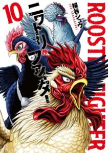 Rooster Fighter