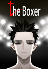 The Boxer The Boxer