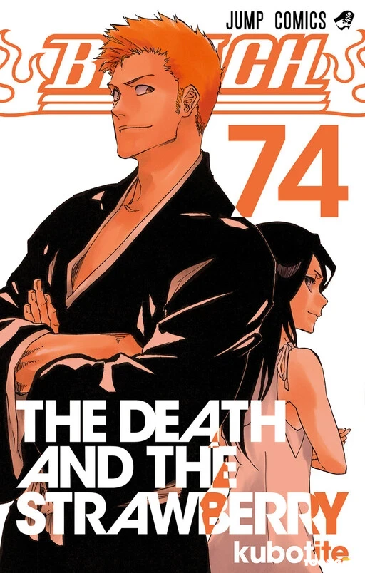 Bleach Bleach